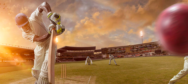 Online cricket betting